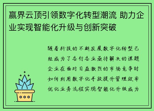 赢界云顶引领数字化转型潮流 助力企业实现智能化升级与创新突破